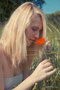 Coquelicot